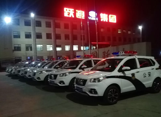 護航兩會，躍迪在行動|躍迪電動警用巡邏車海南執(zhí)勤，助力和諧兩會