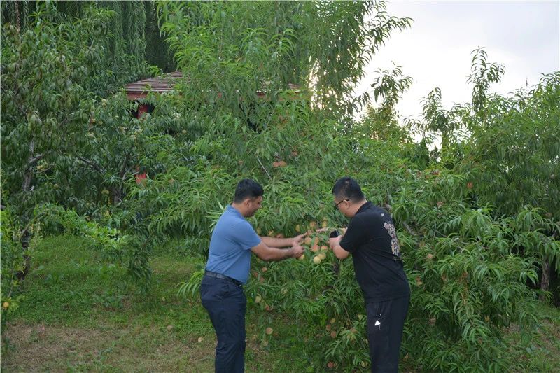 一路一帶丨印度客商到躍迪集團參觀洽談合作